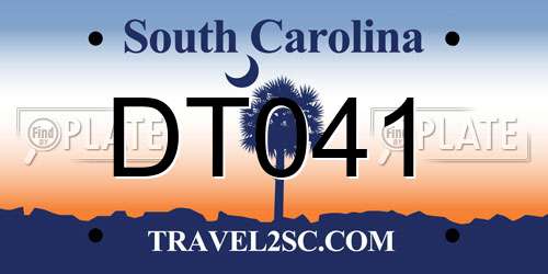 DT041 South Carolina License Plate