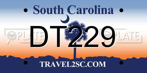 DT229 South Carolina License Plate