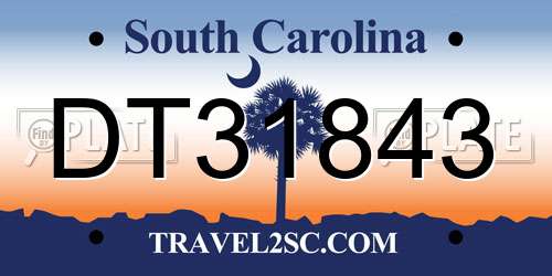 DT31843 South Carolina License Plate