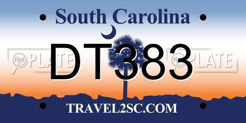 DT383 South Carolina License Plate