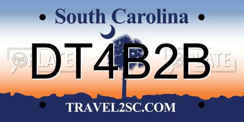 DT4B2B South Carolina License Plate