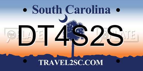 DT4S2S South Carolina License Plate