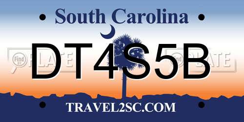 DT4S5B South Carolina License Plate