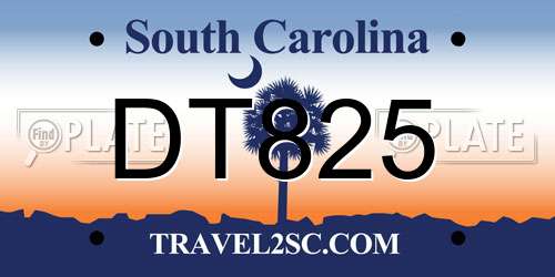 DT825 South Carolina License Plate
