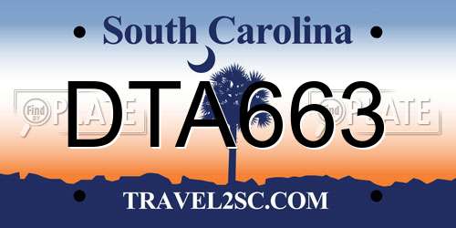 DTA663 South Carolina License Plate