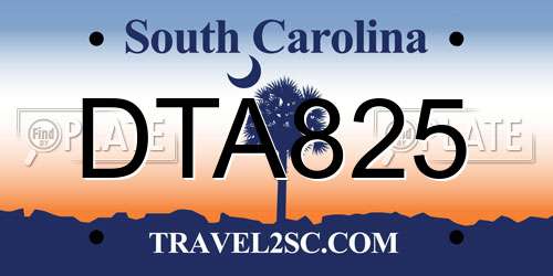 DTA825 South Carolina License Plate