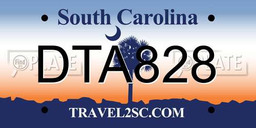 DTA828 South Carolina License Plate