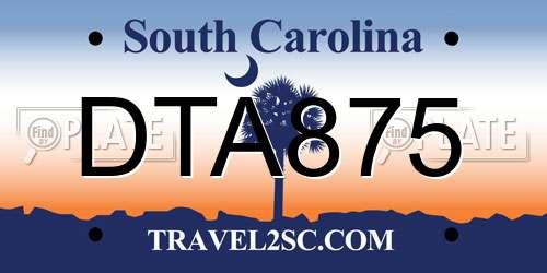 DTA875 South Carolina License Plate