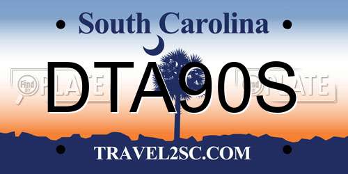 DTA90S South Carolina License Plate