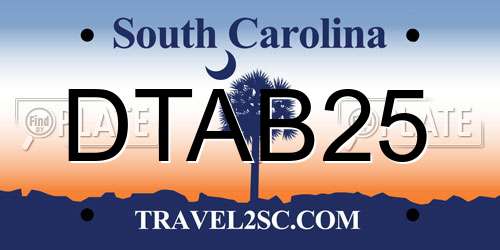 DTAB25 South Carolina License Plate