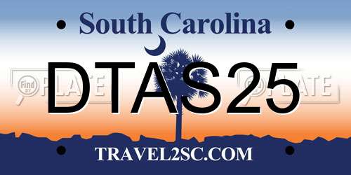 DTAS25 South Carolina License Plate