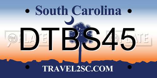 DTBS45 South Carolina License Plate