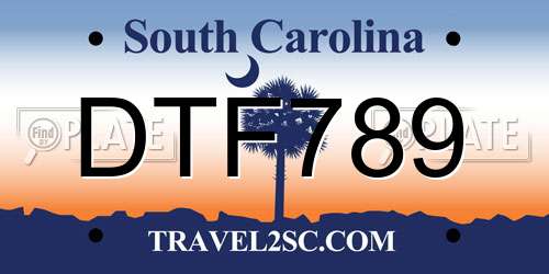 DTF789 South Carolina License Plate