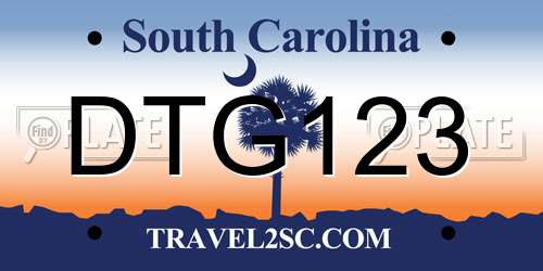 DTG123 South Carolina License Plate