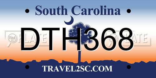 DTH368 South Carolina License Plate