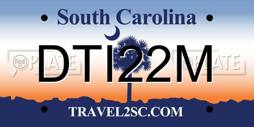 DTI22M South Carolina License Plate