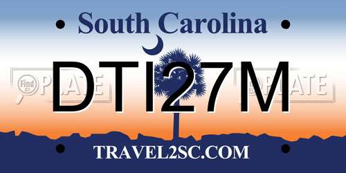 DTI27M South Carolina License Plate