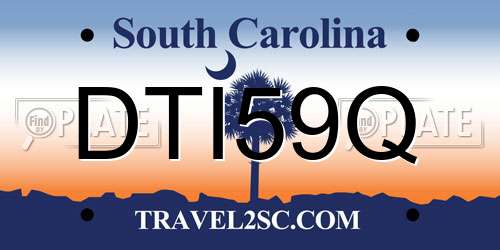 DTI59Q South Carolina License Plate