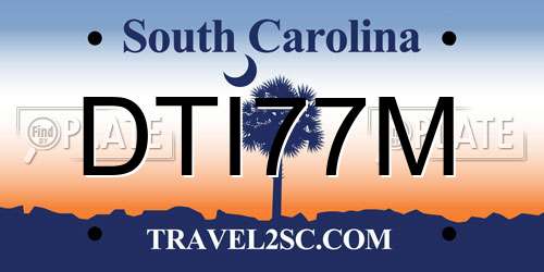 DTI77M South Carolina License Plate