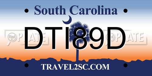 DTI89D South Carolina License Plate