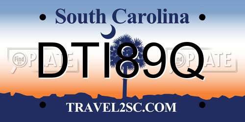 DTI89Q South Carolina License Plate