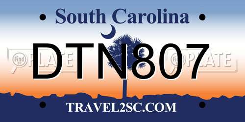 DTN807 South Carolina License Plate
