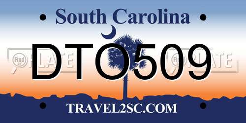 DTO509 South Carolina License Plate