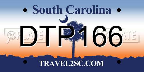 DTP166 South Carolina License Plate