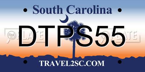 DTPS55 South Carolina License Plate