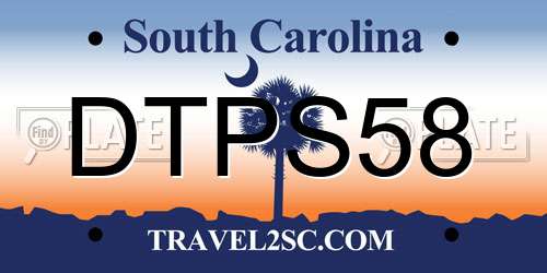 DTPS58 South Carolina License Plate