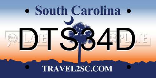 DTS34D South Carolina License Plate