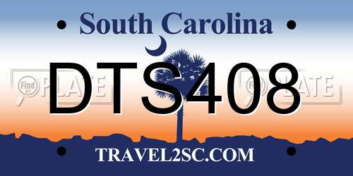 DTS408 South Carolina License Plate