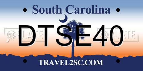 DTSE40 South Carolina License Plate