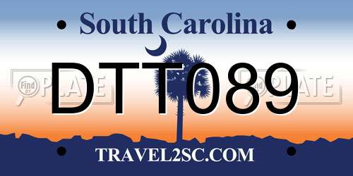 DTT089 South Carolina License Plate