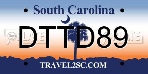 DTTD89 South Carolina License Plate