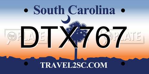 DTX767 South Carolina License Plate