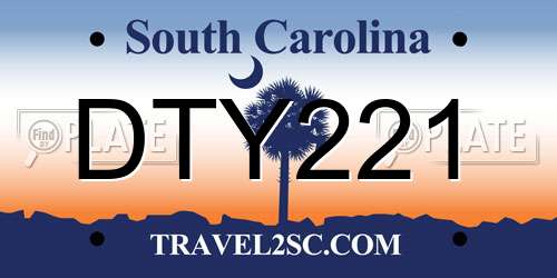 DTY221 South Carolina License Plate