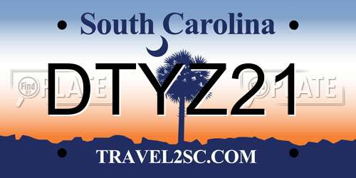 DTYZ21 South Carolina License Plate