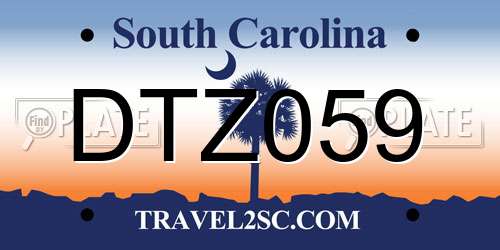 DTZ059 South Carolina License Plate