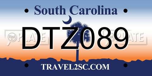 DTZ089 South Carolina License Plate