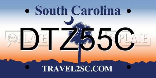 DTZ55C South Carolina License Plate