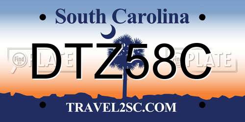 DTZ58C South Carolina License Plate