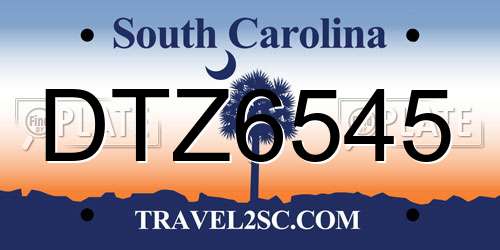 DTZ6545 South Carolina License Plate