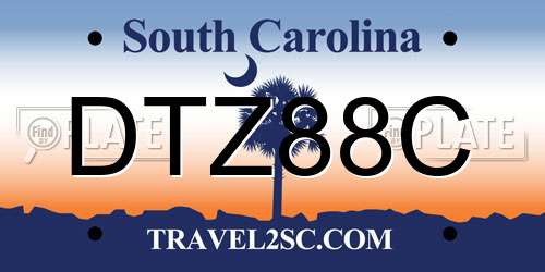 DTZ88C South Carolina License Plate