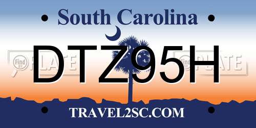 DTZ95H South Carolina License Plate