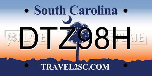 DTZ98H South Carolina License Plate