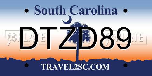 DTZD89 South Carolina License Plate