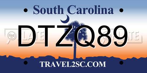 DTZQ89 South Carolina License Plate