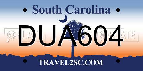 DUA604 South Carolina License Plate