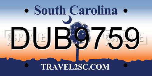 DUB9759 South Carolina License Plate